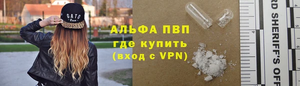 крисы Алзамай