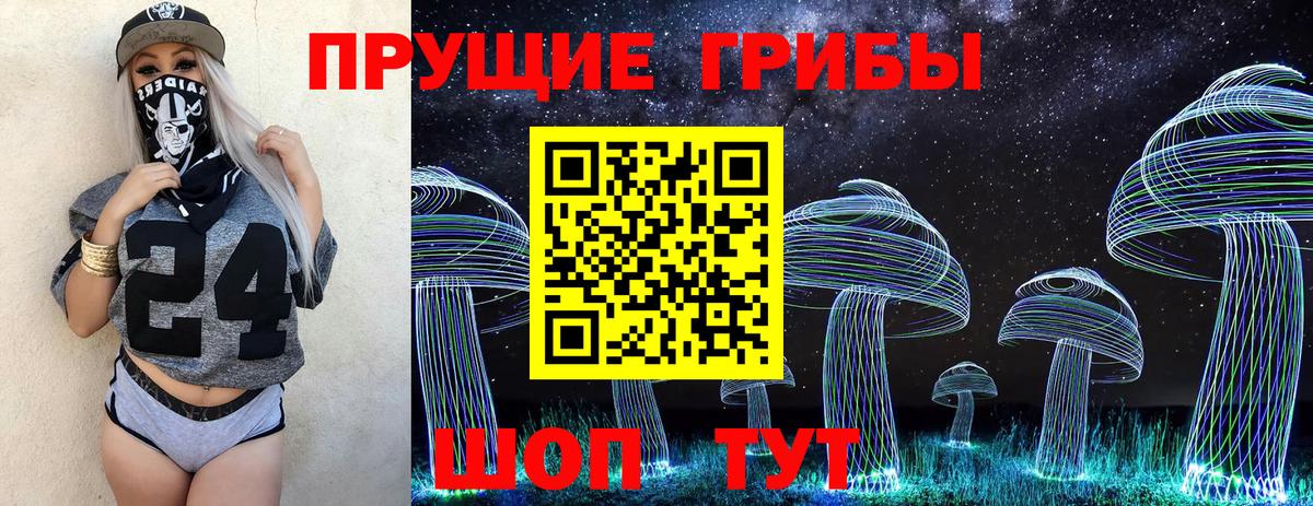 Советская Гавань  Галлюциногенные грибы мицелий  дарнет шоп  Вход с VPN 
